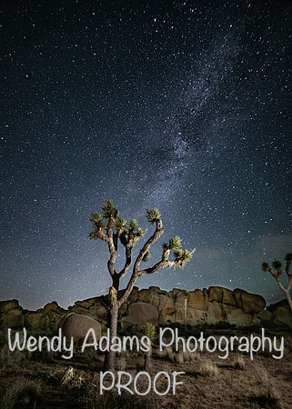 Joshua Tree California