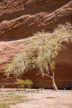 Canyon De Chellly, Arizona