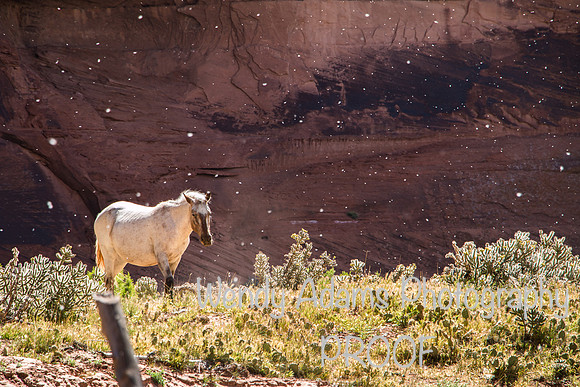 Canyon De Chelly, Arizona