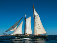 showing off the sails