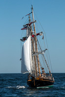 Wind in your sails