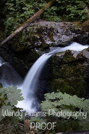 Along Sol Duc Falls hike, WA