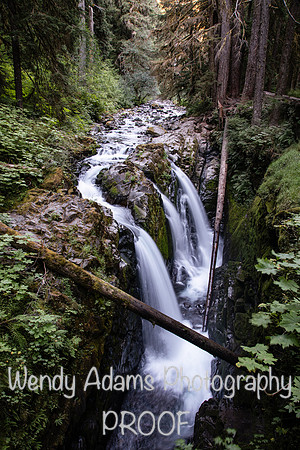 Sol Duc Falls WA