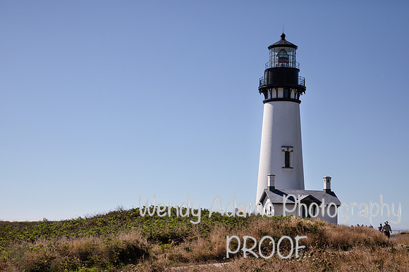 Yaquina Head Light OR