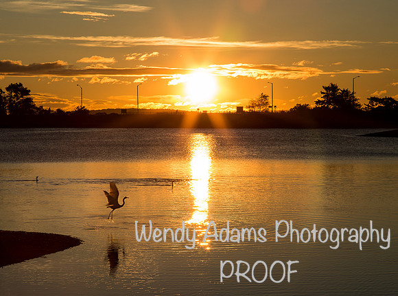 Sunrise Quincy, MA-8875