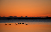 Sunrise Quincy, MA-4260