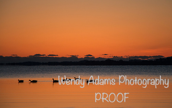 Sunrise Quincy, MA-4260