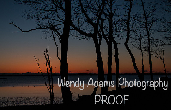 Sunrise Quincy, MA-4226