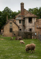 France-7057