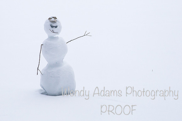 Snowdude