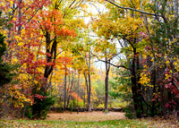 Autumn at Holly Hill Farm