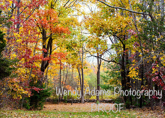 Autumn at Holly Hill Farm