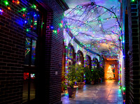 Holiday Lights