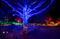 Holiday blue lights