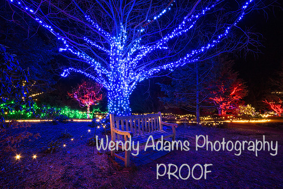 Holiday blue lights