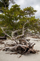 Sanibel Island, FL