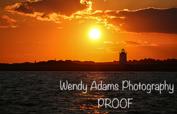Cape Cod-3395