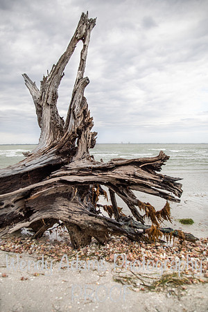 Sanibel Island, FL