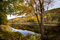 Autumn in NH