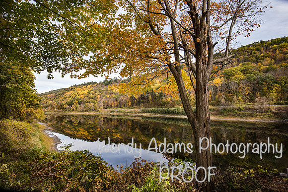 Autumn in NH
