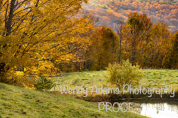 Autumn Sunrise on Jenne Farm