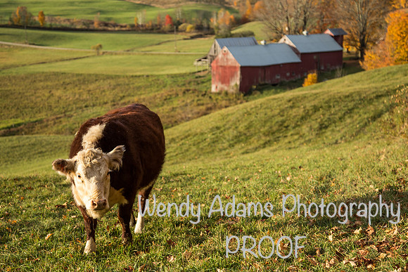 Sunrise at Jenne Farm, Vermont