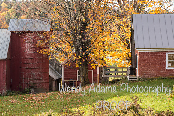Autumnn at Jenne Farm, Vermont