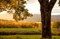New England