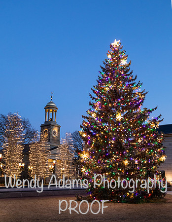Christmas in Quincy, MA