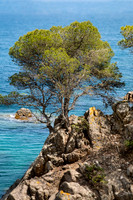 Calella de Palafru, Spain