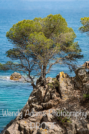 Calella de Palafru, Spain