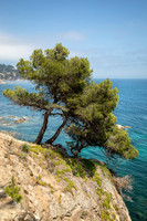 Calella de Palafru, Spain