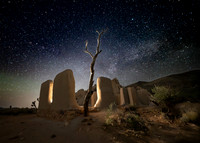 Joshua Tree Califonia