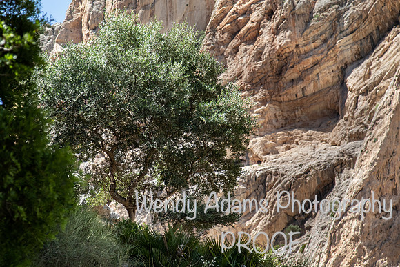 El Caminito del Rey, Spain