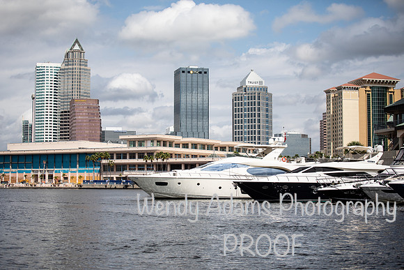 Tampa Fl